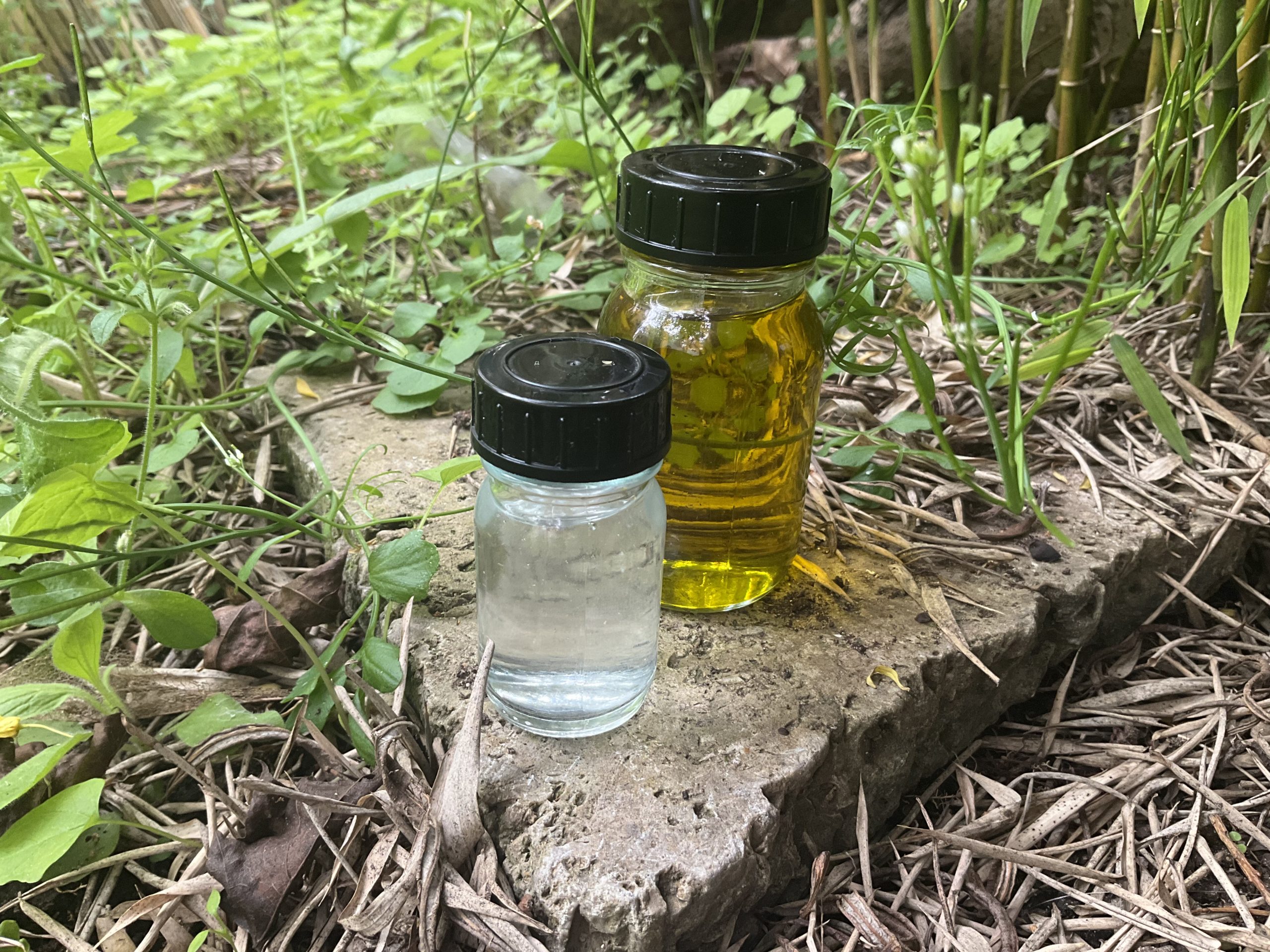 Sa Sukha Reines Glück Kombi 100ml - Image 3